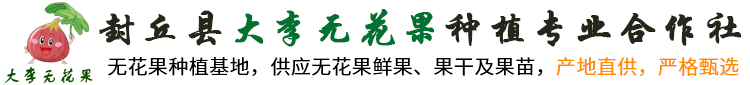 大李无花果种植专业合作社